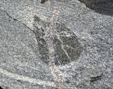 Synopsis IAS Courses